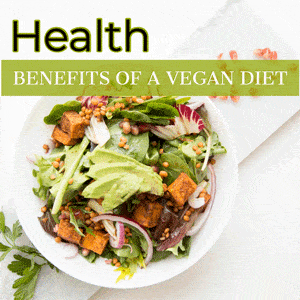 Colorful plant-based bowl with grains, beans, and vegetables