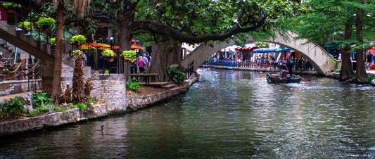 Our San Antonio Recommendations - Check Out Our Feature! - Southern Roots Vegan Bakery