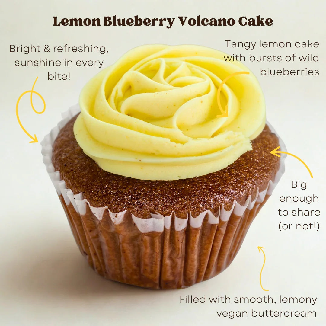 Volcano Cake Bundle – Allergy-Friendly Jumbo Cakes with San Antonio Delivery - Southern Roots Vegan Bakery