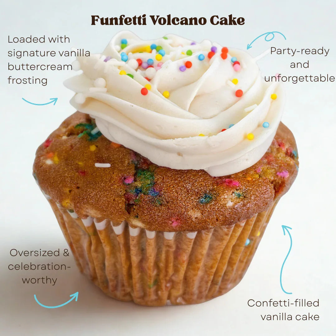 Volcano Cake Bundle – Allergy-Friendly Jumbo Cakes with San Antonio Delivery - Southern Roots Vegan Bakery