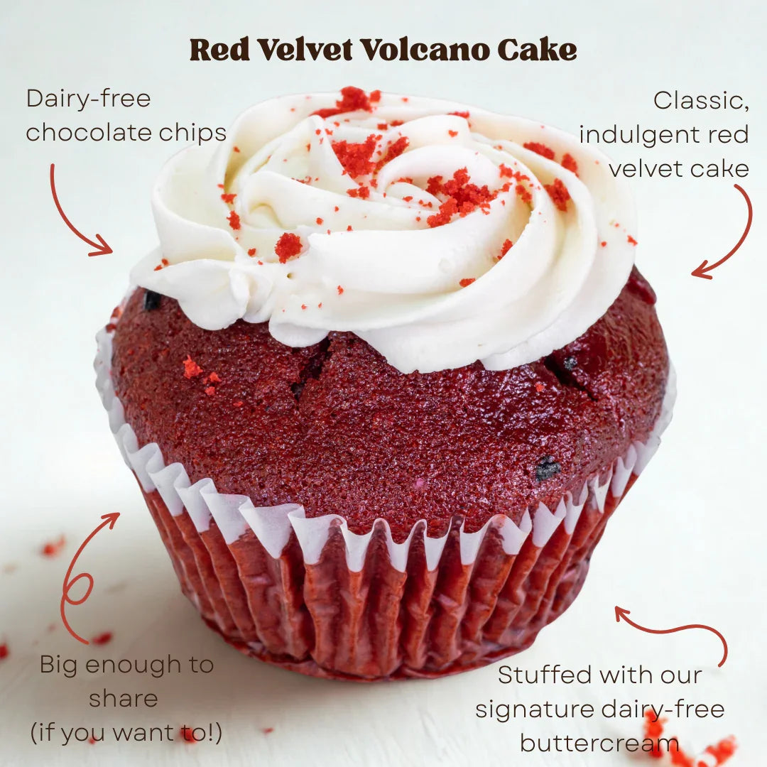 Volcano Cake Bundle – Allergy-Friendly Jumbo Cakes with San Antonio Delivery - Southern Roots Vegan Bakery