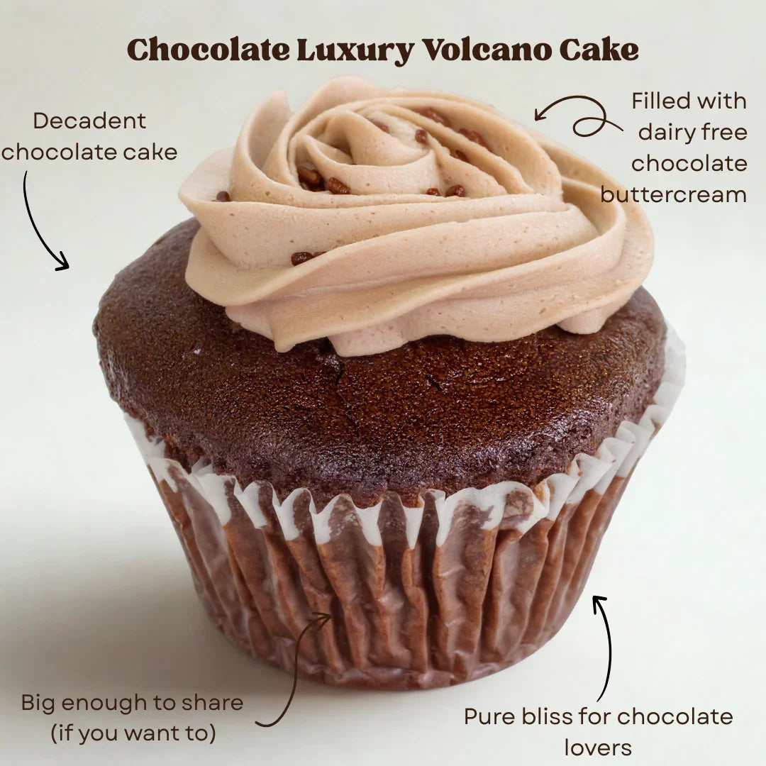 Volcano Cake Bundle – Allergy-Friendly Jumbo Cakes with San Antonio Delivery - Southern Roots Vegan Bakery