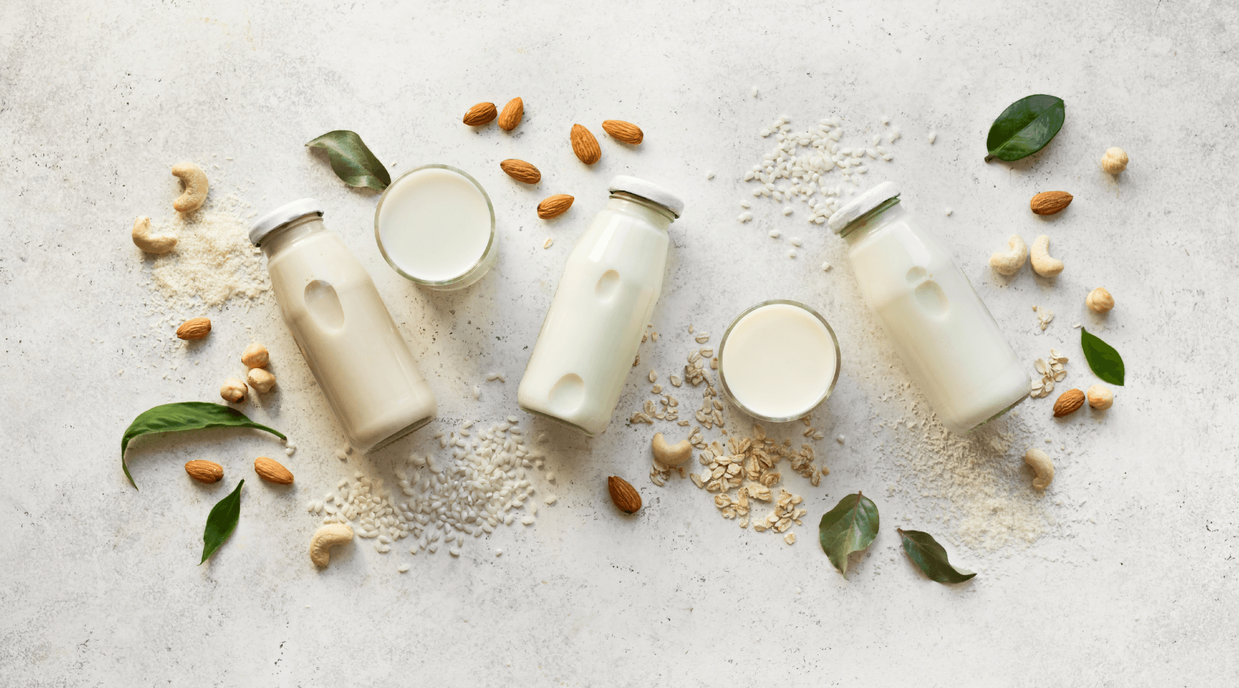 Plant Based Milk: A Healthier Alternative to Dairy