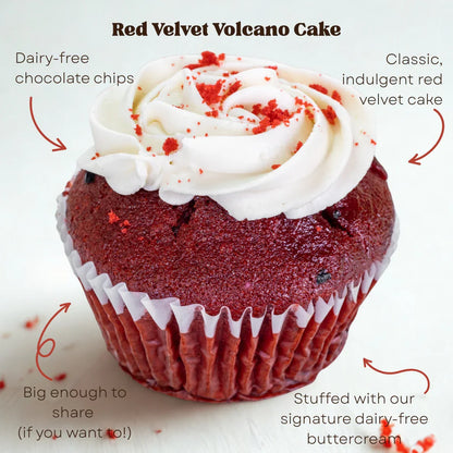Volcano Cake Bundle – Allergy-Friendly Jumbo Cakes with San Antonio Delivery - Southern Roots Vegan Bakery